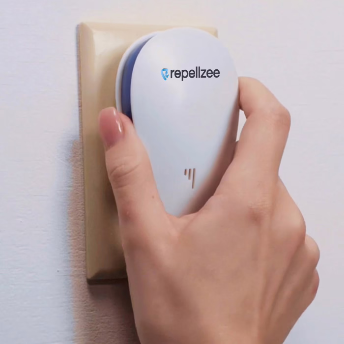 RepellZee in eine Wandsteckdose stecken